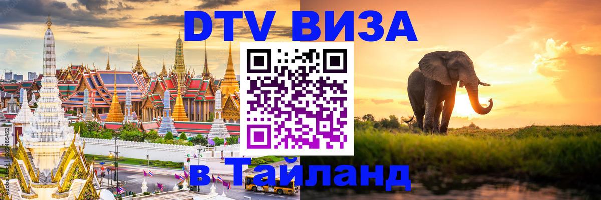 Оформление DTV визы под ключ: стоимость и тарифы, только загранпаспорт - Арзамас 